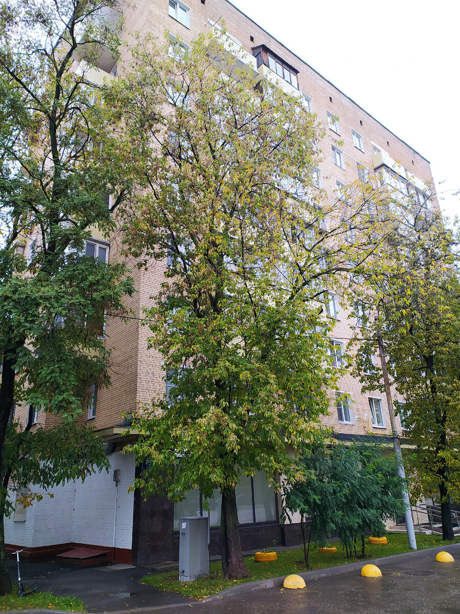 девятиэтажке на Ярцевской улице.