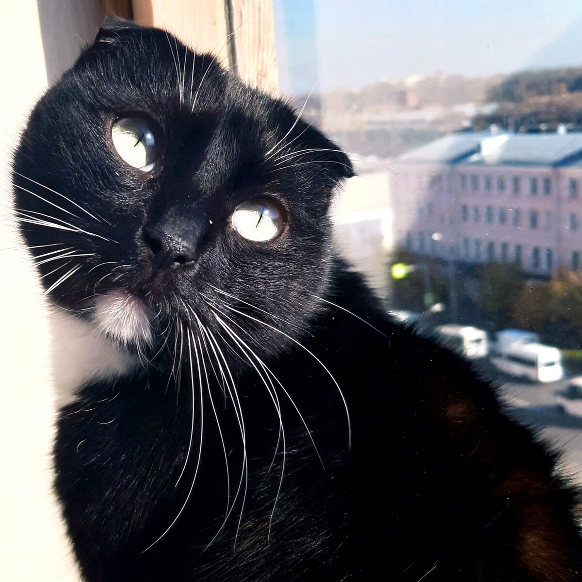 Полуденный Сурен для украшения статьи