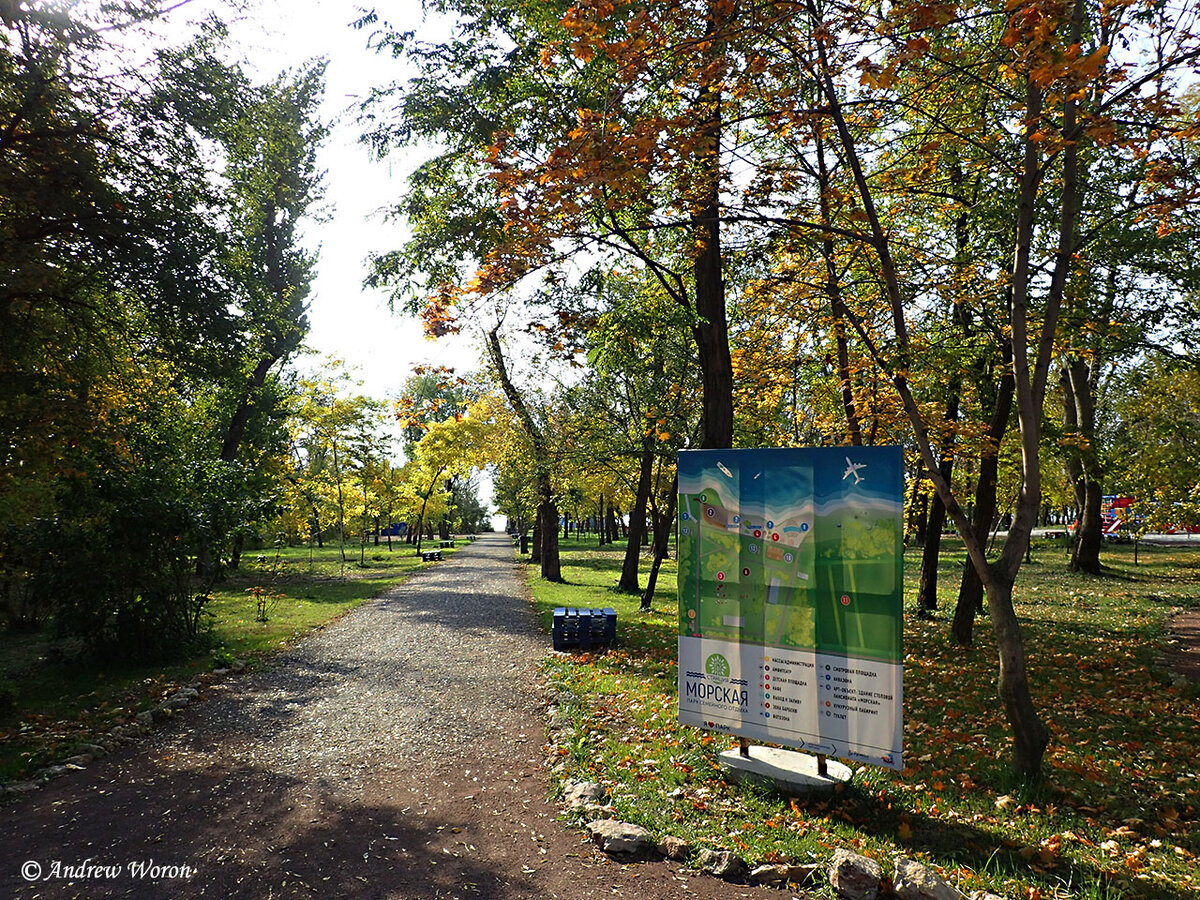 Начало аллеи от входа в парк