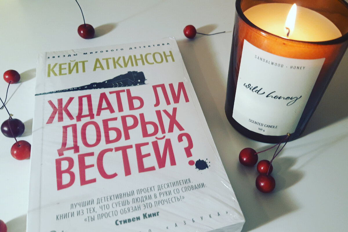 Третья книга о детективе Джексоне Броуди. 