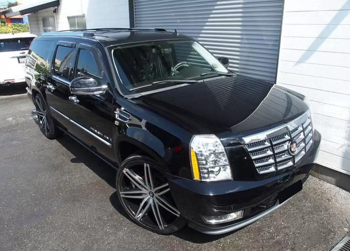 Фото из открытых источников 