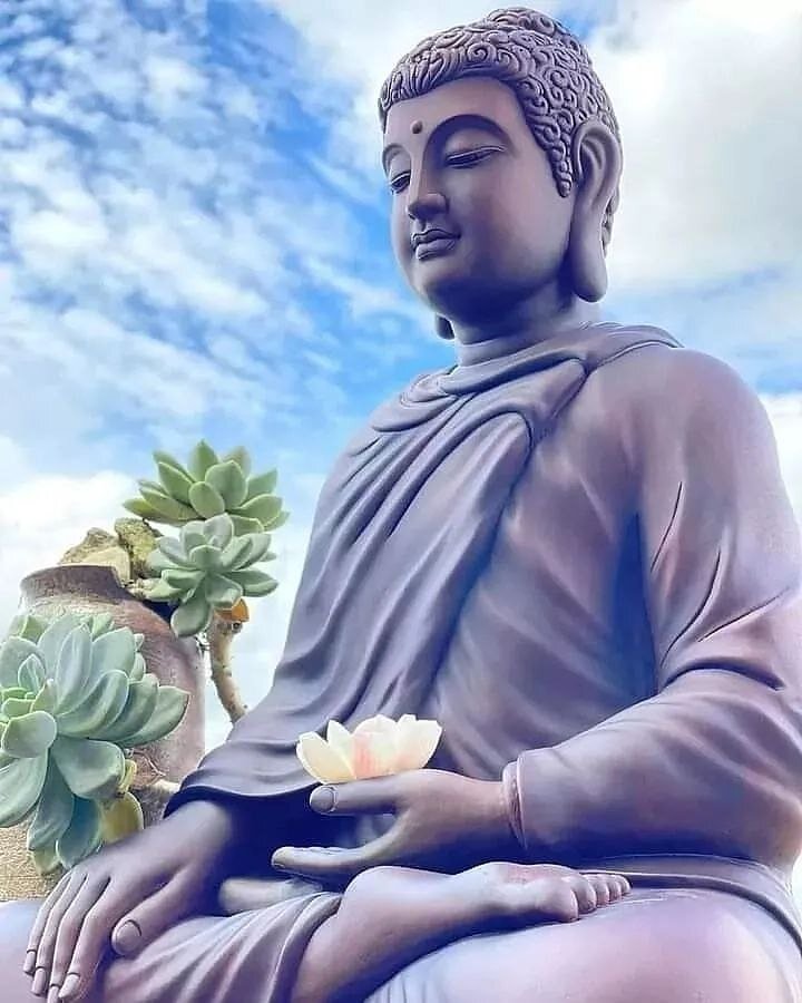 1. ЙОГА⠀
По одному из определений, йога – это «состояние человека, при котором его жизнь в действиях и в мыслях совершенно гармонична».⠀
⠀
2. ДЫХАНИЕ⠀
Правильное дыхание – одна из основ здоровой и гармоничной жизни. ⠀
Во время стресса самой действенной методикой успокоения по праву считается замедленное глубокое дыхание. Сама природа подсказывает нам – чем ровнее ритм и глубже дыхание, тем более мы расслабленны.⠀
⠀
3. СПИСОК БЛАГОДАРНОСТЕЙ⠀
Один из самых мощных инструментов для мгновенного всплеска положительных эмоций и получения заряда для достижения своих целей.⠀
Сделайте прямо сейчас и насладитесь его эффектом.⠀
⠀
4. ЛИТЕРАТУРА⠀
а) Библиотека (оффлайн или онлайн)⠀
Раньше лишь небольшая прослойка общества имела доступ к самой передовой литературе. Сегодня у нас безграничные возможности в плане освоения новой информации.⠀
б) Блоги успешных людей.⠀
Вам не нужно ждать год или годы, пока его материалы соберутся в книгу. Вы можете быть на одной волне с экспертами благодаря подпискам на их авторские сайты.⠀
⠀
5. ПРОГУЛКА ИЛИ АКТИВНЫЙ СПОРТ НА ПРИРОДЕ⠀
Доступно, полезно для отличного самочувствия.⠀
⠀
6. ПОХОД НА ВЫСТАВКУ ИЛИ В МУЗЕЙ⠀
⠀
7. САМОМАССАЖ⠀
Вы можете практиковать любой самомассаж, будь это китайский массаж, омолаживающий самомассаж лица или укрепляющий все внутренние органы массаж стоп.⠀
Только задумайтесь, что одно из самых мощных средств самоисцеления и наполнения энергией абсолютно доступно каждому человеку, имеющему здоровые руки.⠀
⠀
8. МЕДИТАЦИЯ⠀
О медитации написана масса литературы. Главное подобрать ту практику которая, вам понравится и "зайдет".
Медитация помогает как в развитии креативности, так и в навыках управления. Спектр позитивных эффектов, которые получают люди, регулярно (именно регулярно, а не периодически!) практикующие медитацию, колоссален.⠀
А главное, большинство техник совершенно бесплатны.⠀
⠀
9. БЛАГОТВОРИТЕЛЬНОСТЬ⠀
Сделайте одно хорошее дело, и вы мгновенно почувствуете прилив энтузиазма и сил для новых высот.⠀
Оглянитесь вокруг. Обязательно найдется человек, которому сегодня намного хуже, чем вам. Помогите ему – добрым словом, делом, или деньгами. 