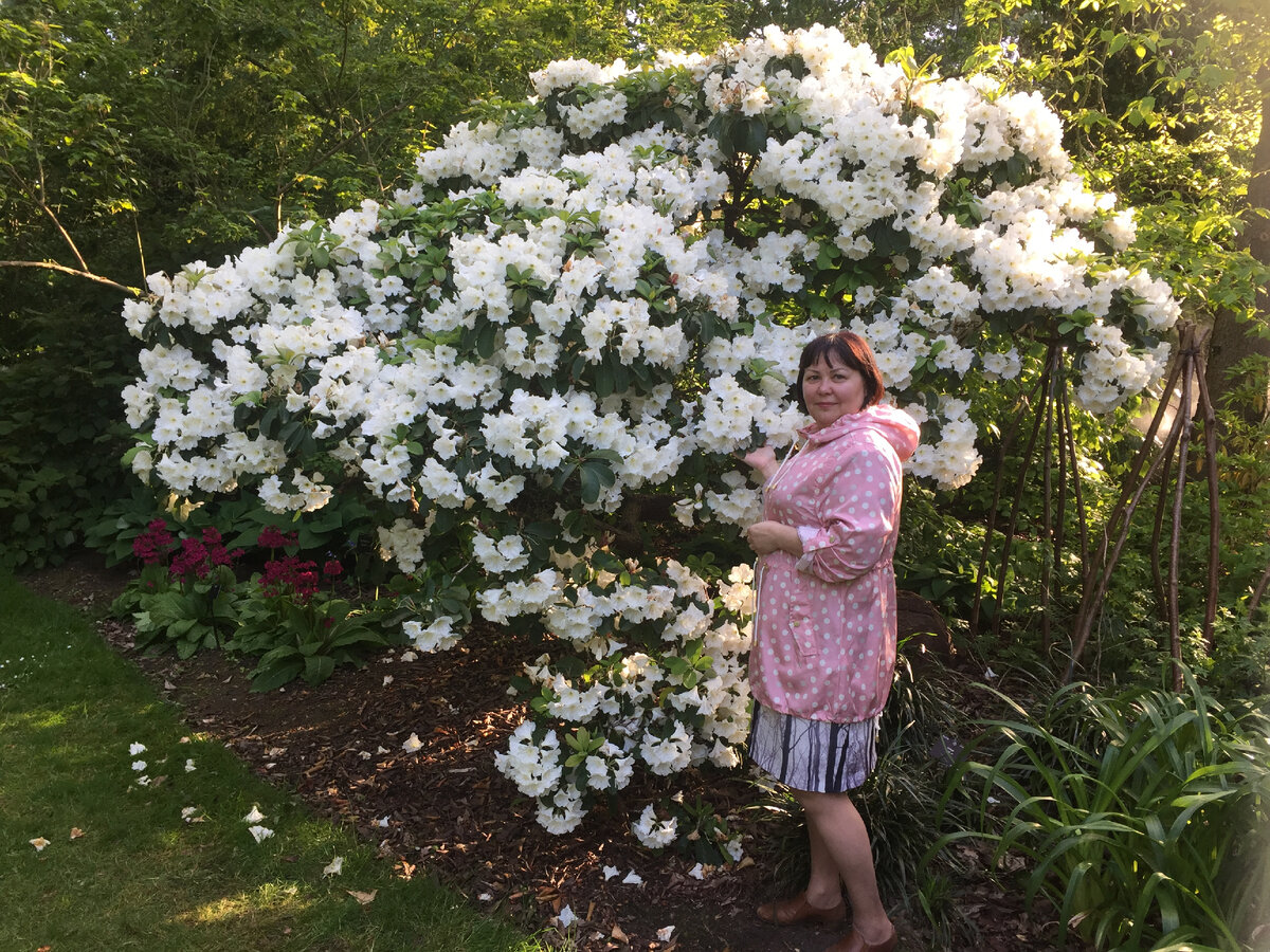 Я -цветовод в душе. Поэтому здесь для меня - рай!