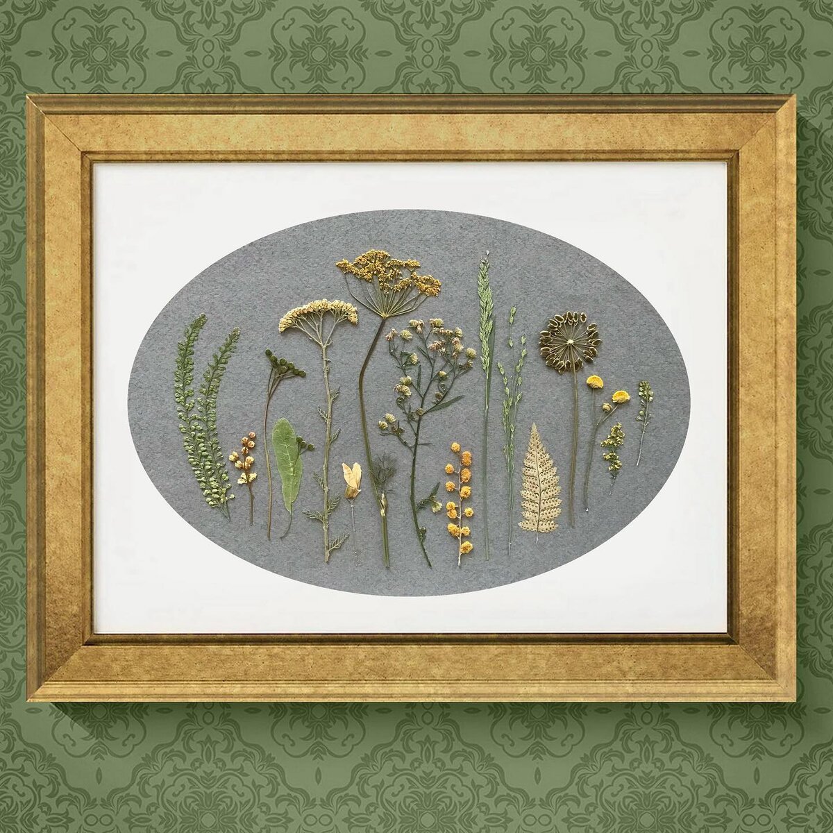 Гербарная композиция. Автор Ирина Шаврина (Философия Гербария)