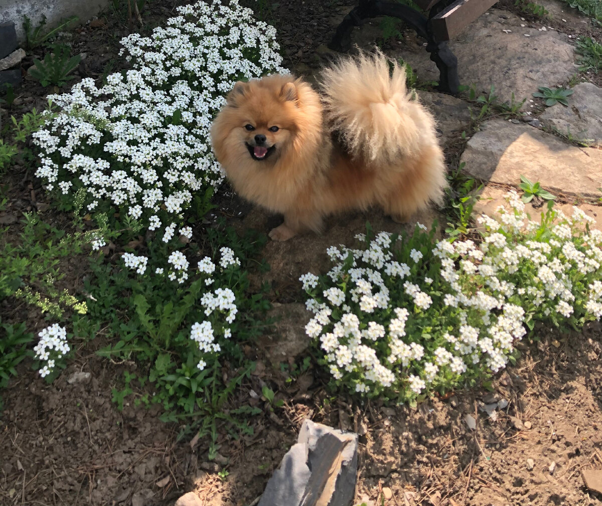 Милая мордочка