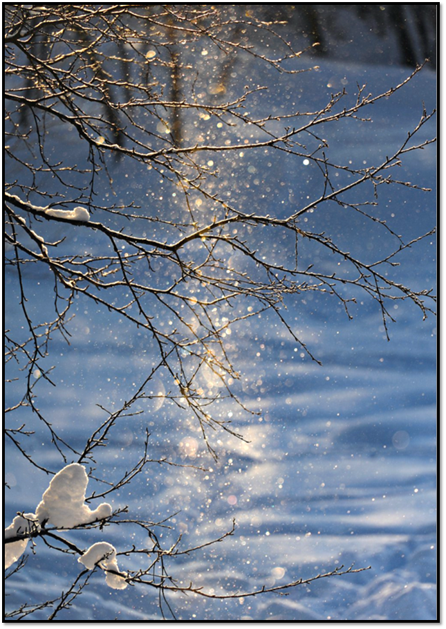 Источник: https://www.vokrugsveta.ru                      Фотограф Е. Земскова 