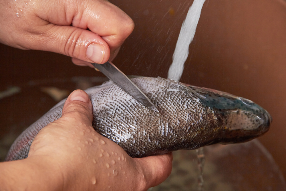 Почистить и разделать целую рыбу – настоящий вызов для любой хозяйки. Особенно когда под рукой нет специальной рыбочистки.