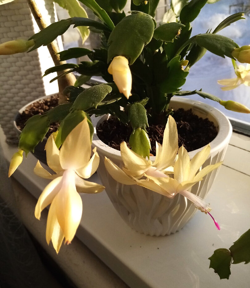 Фото Галины Любимовой