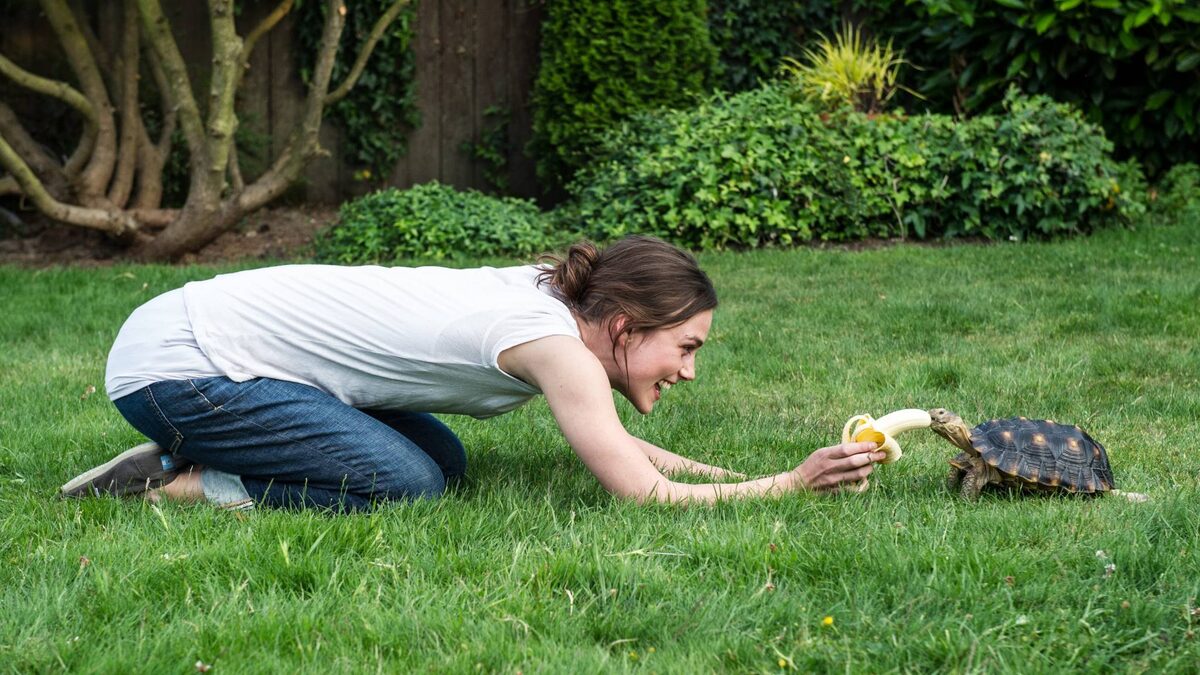 Кира Найтли в фильме "Детка", 2014