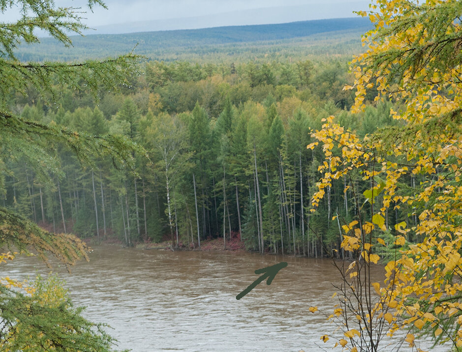 Зеленой стрелкой показал деревья, которые вдоль всего берега оказались в воде. течение их вымывает и они падают в воду.