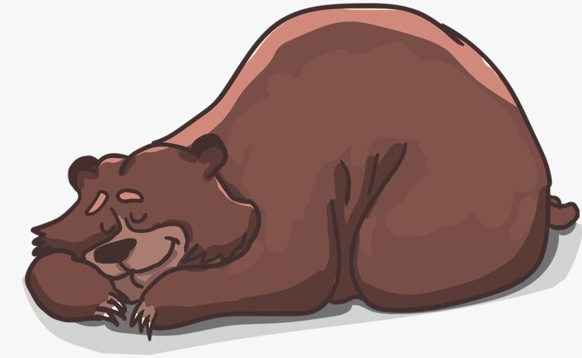 зимняя спячка зверей сберегает энергию тела...