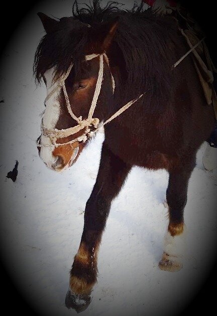 фото из личного архива