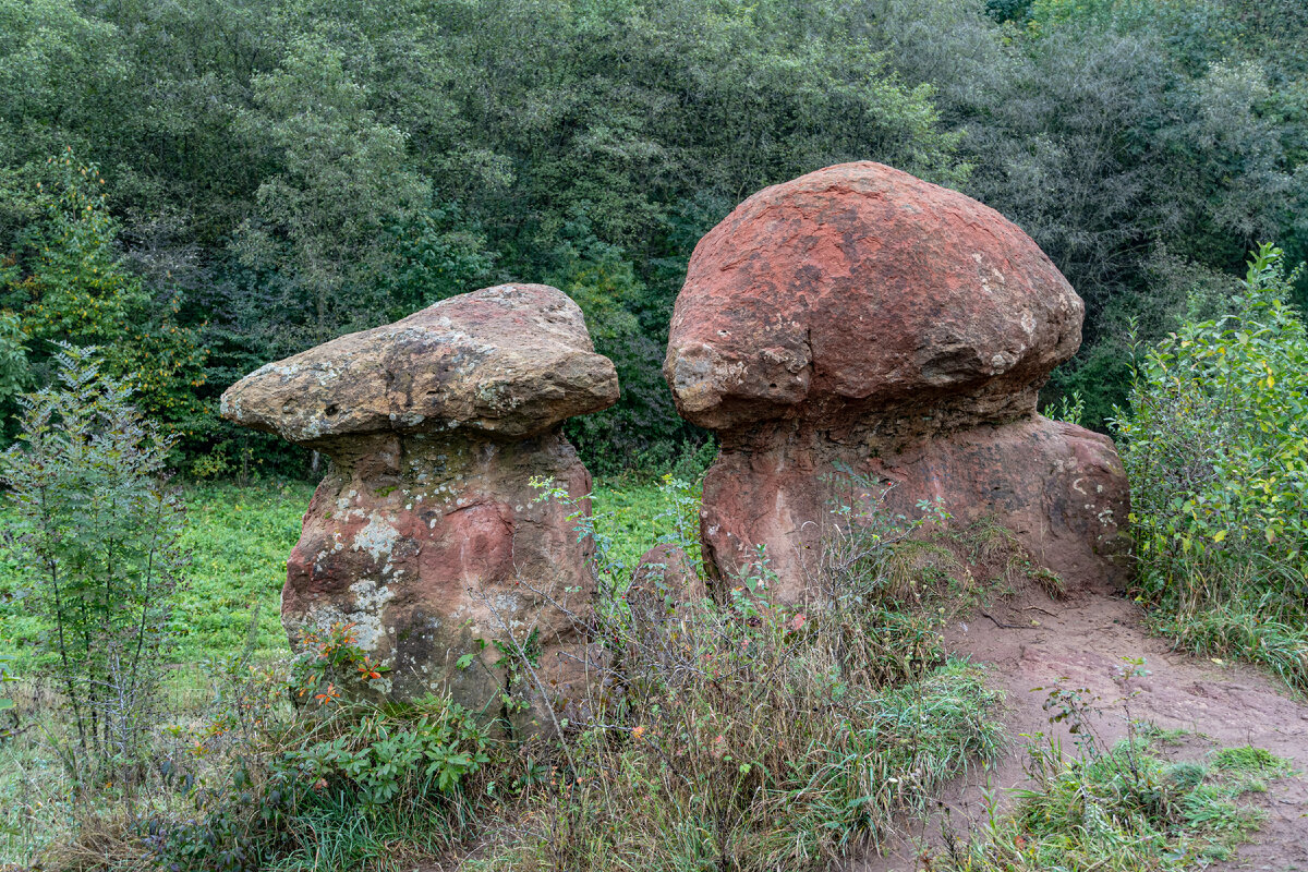 2. Два каменных гриба. Чуть сбоку расположены ещё два.
