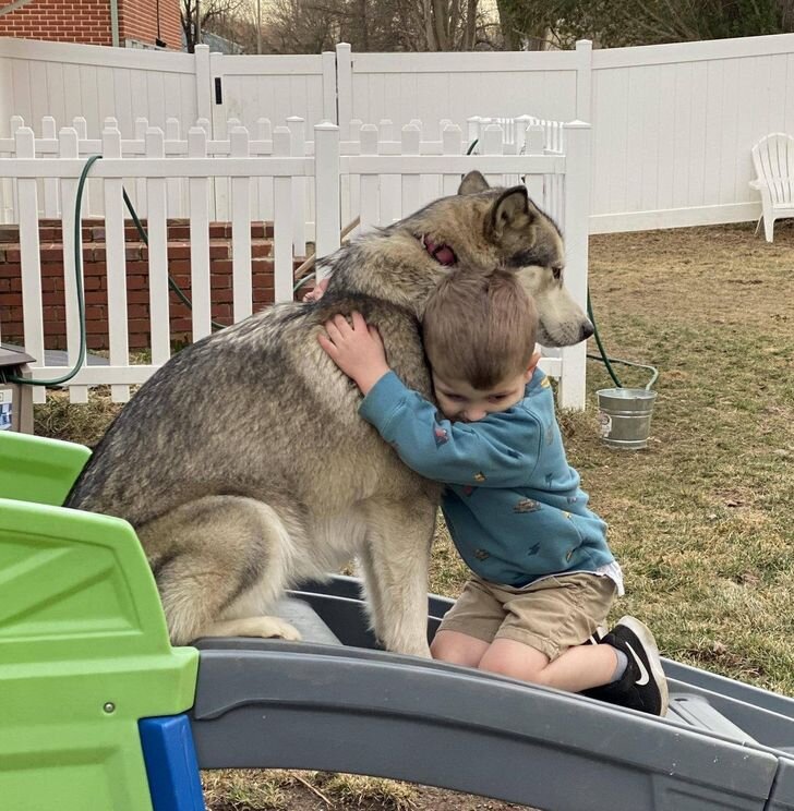 я тебя кохаю. стихи. открытки на украинском языке. поздравления на украинском языке. с днем святого валентина люблю тебя.