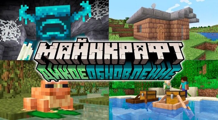 Изображение взято из интернета.