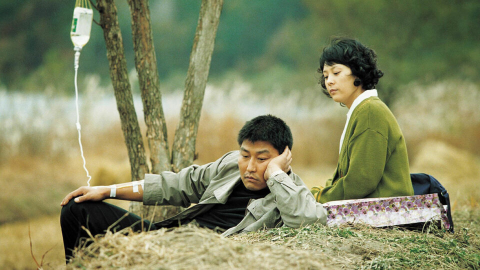    Сон Кан-хо и Чон Ми-сон