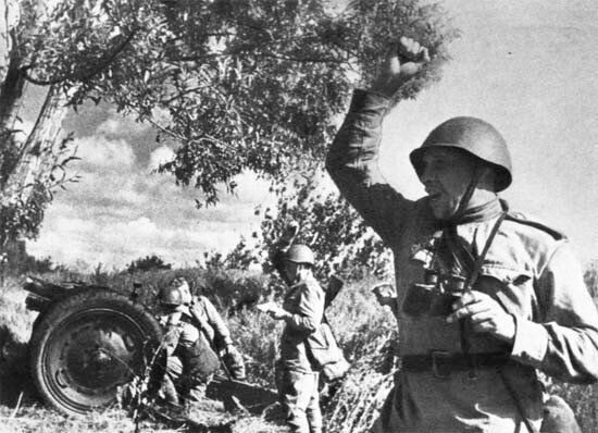 фото из открытого источника картинки Pinterest https://clck.ru/qeTV7