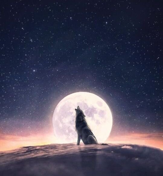 Будьте готовы и старайтесь чаще включать голову..