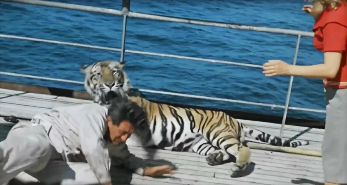 Съемки фильма "Полосатый рейс"  