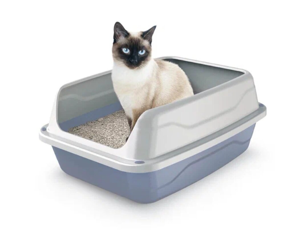 Из интернета. Лоток с высокими бортами 