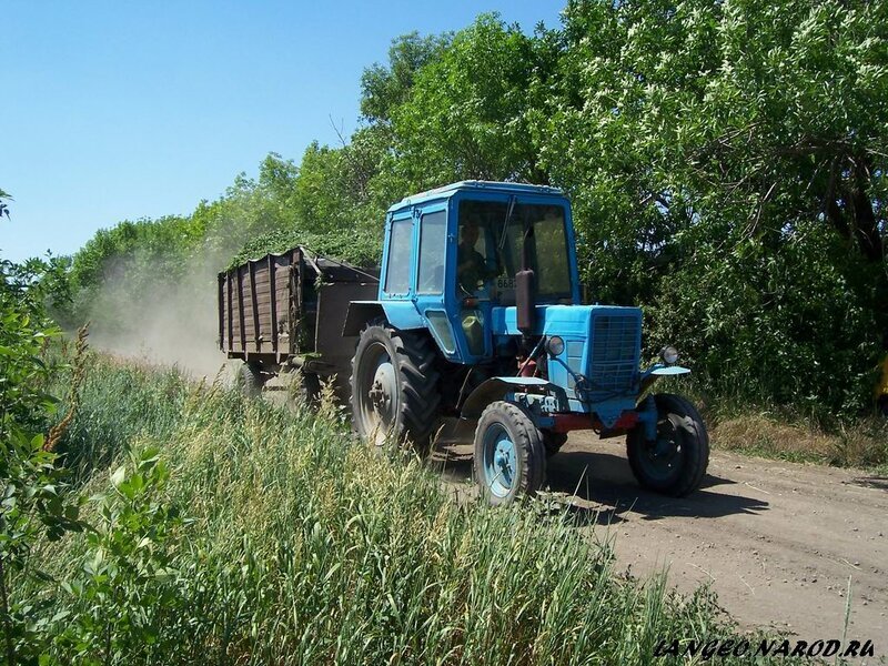 фото из интернета