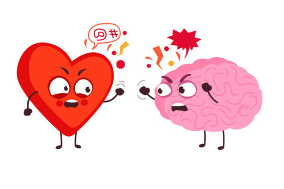 Сердце и мозг.