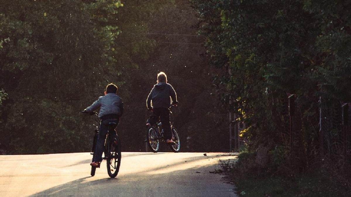    Мальчики едут на велосипедах:pixabay.com