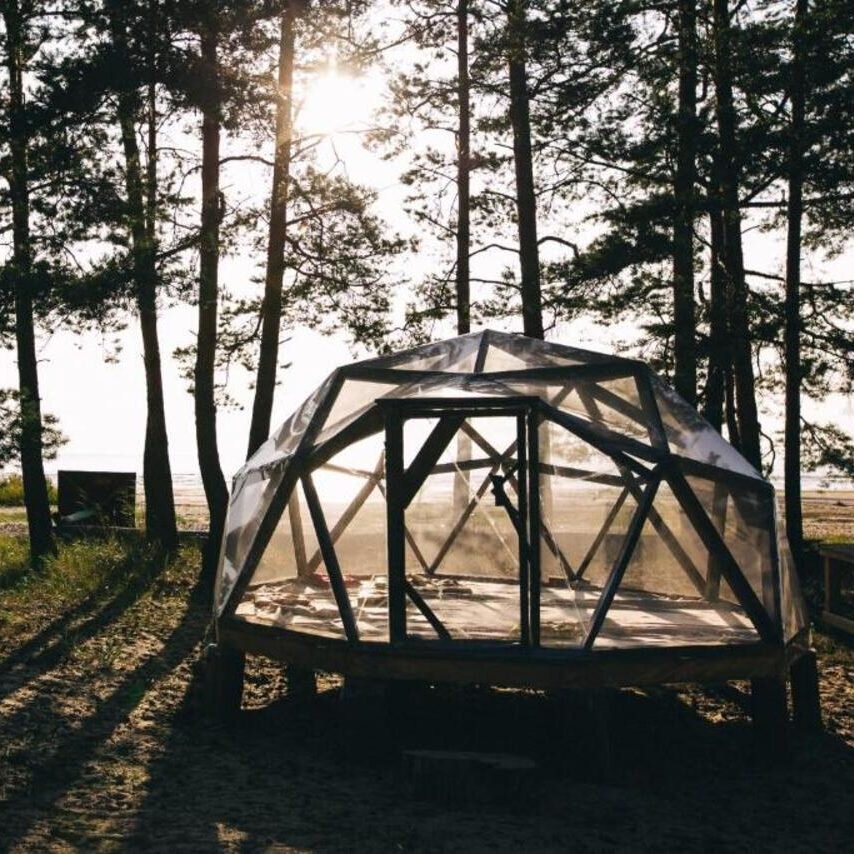 Жд станция калище. Жд вокзал калище сосновый бор. Станция суджа курской области. Серф станция wind hunters. Сосновый бор курская область беловский район.