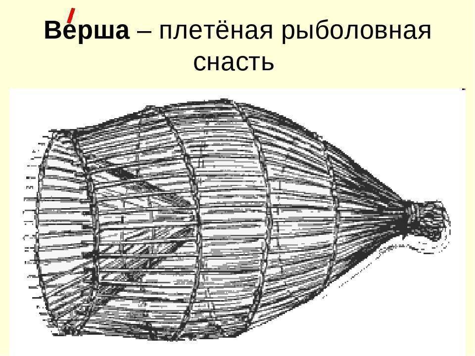 Источник Activefisher.net