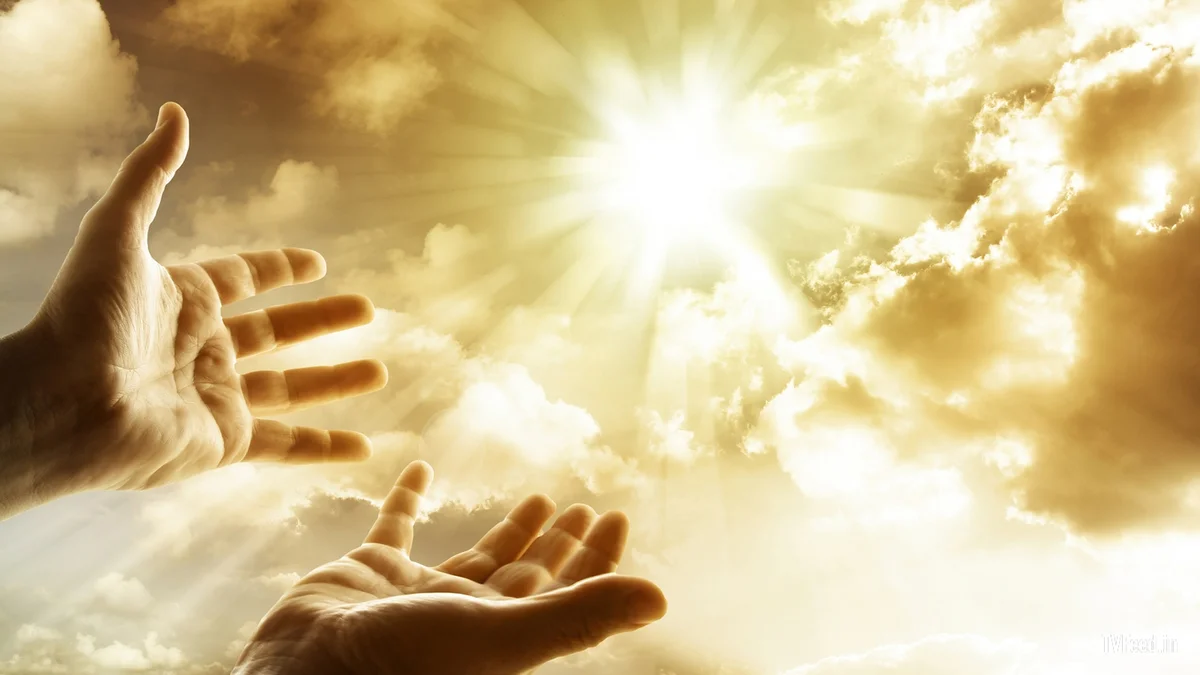                                  Изображение  взято  из  открытых  источников