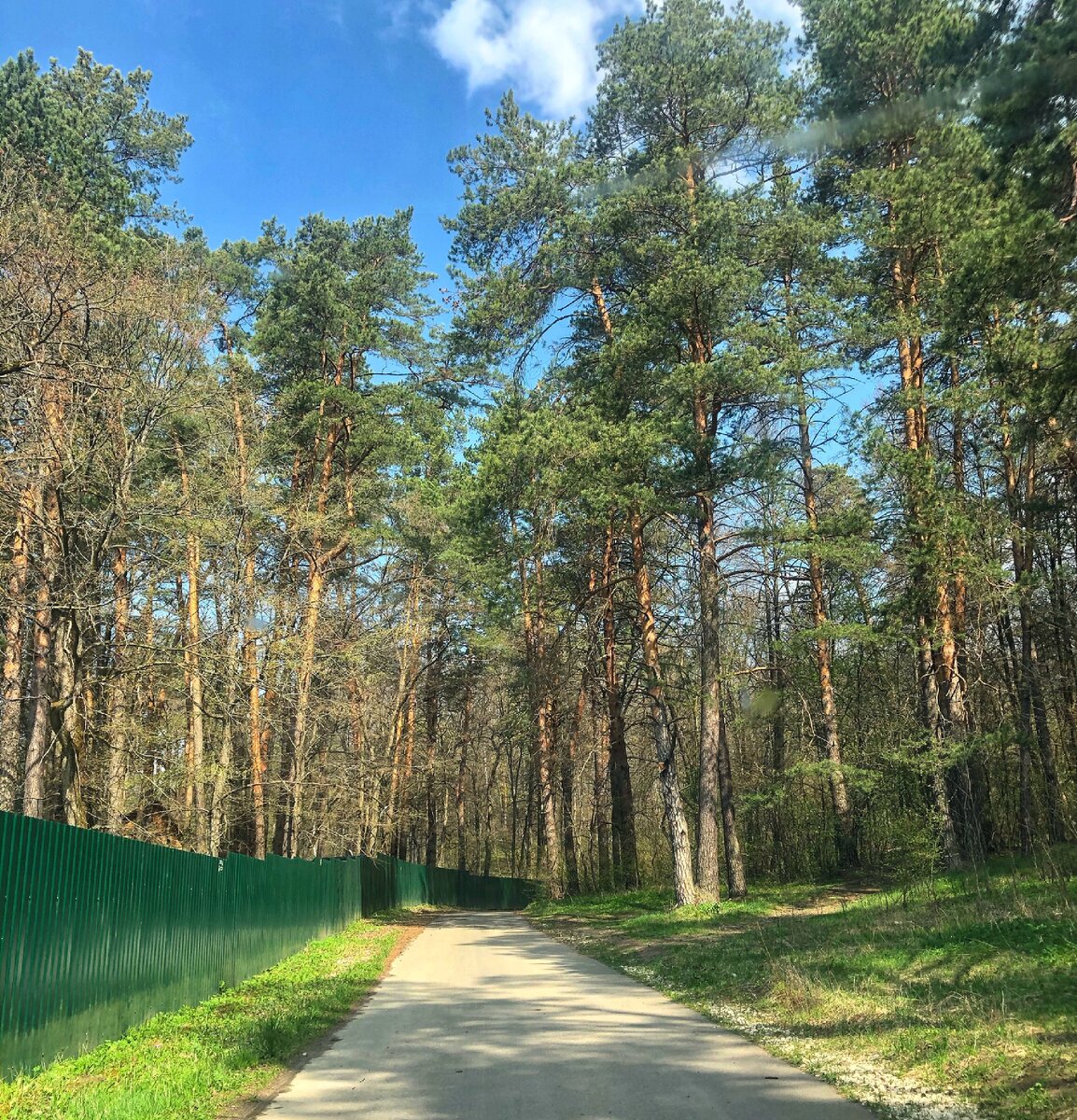 Фото Евсеенко Евгении 