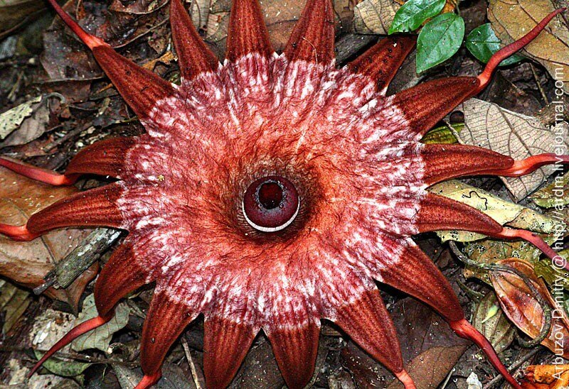 как будто чужой смотрит в душу