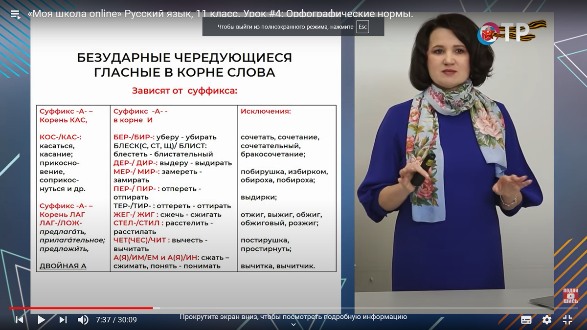 Кадр № 1