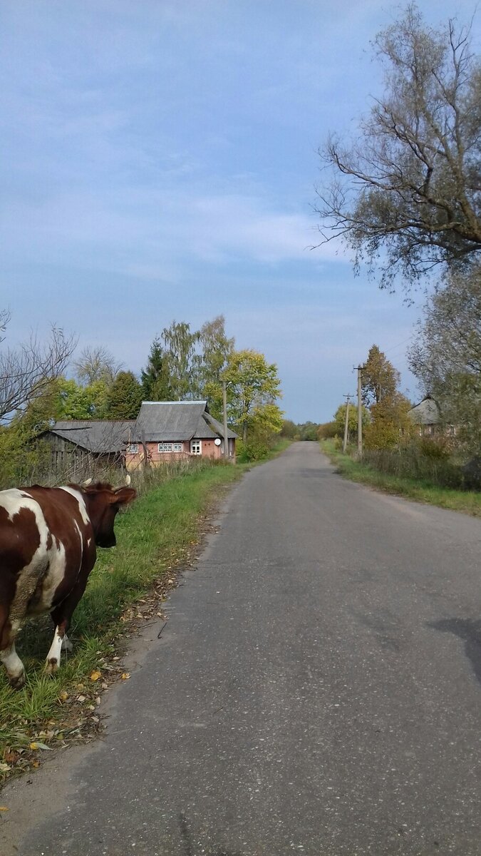 Осень в деревне