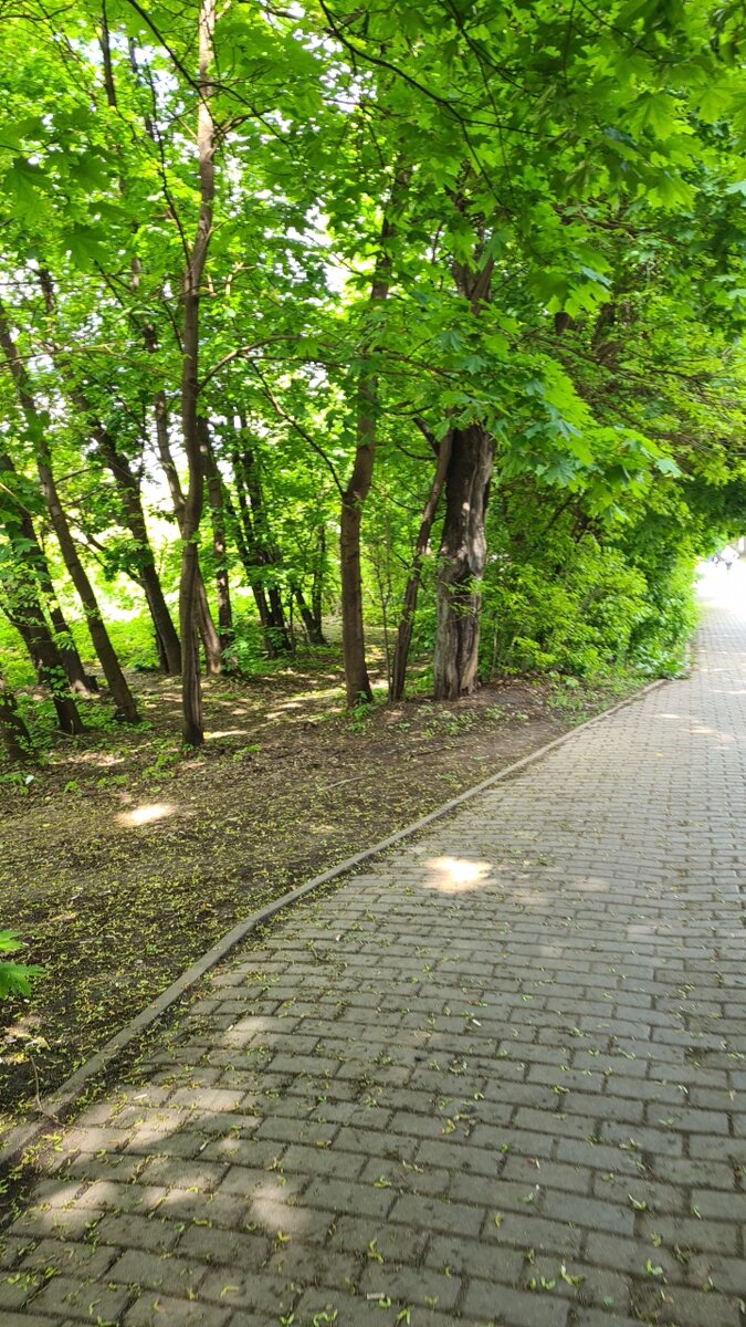 Даже гуляю по любимому району со своим ребенком возможно встретить эти вирусы