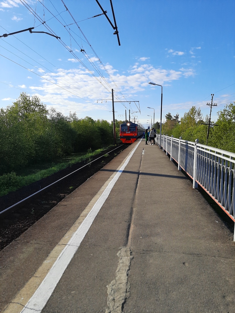 фото из личного архива автора