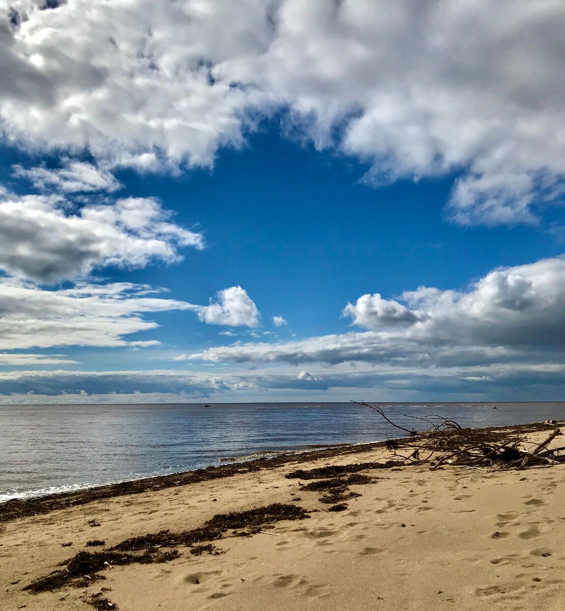 Море в реальном времени