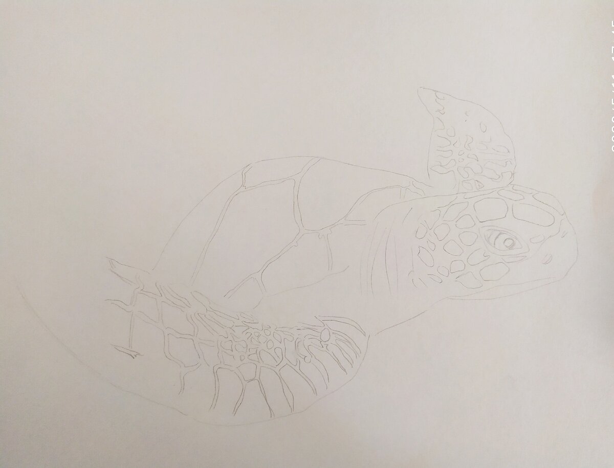 Фото и работа автора