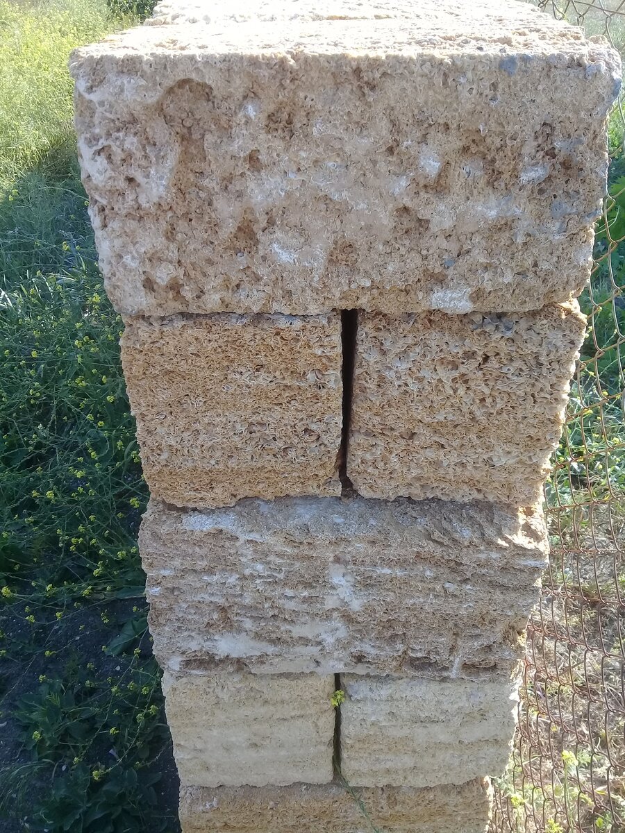 Ракушечник.
