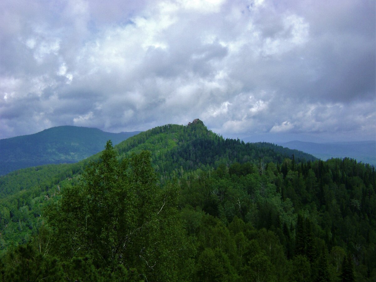 Зеленое море тайги