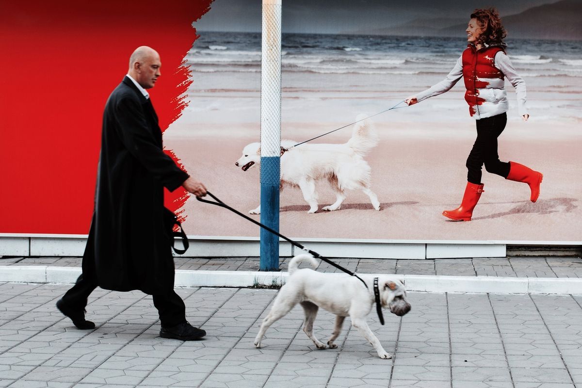 Ph Вугар Мамедзаде