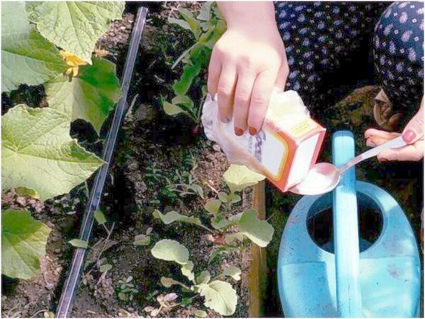 В интернете есть множество  вариантов использования такого незаменимого продукта  как сода. В этой статье будут мои самые любимые техники.