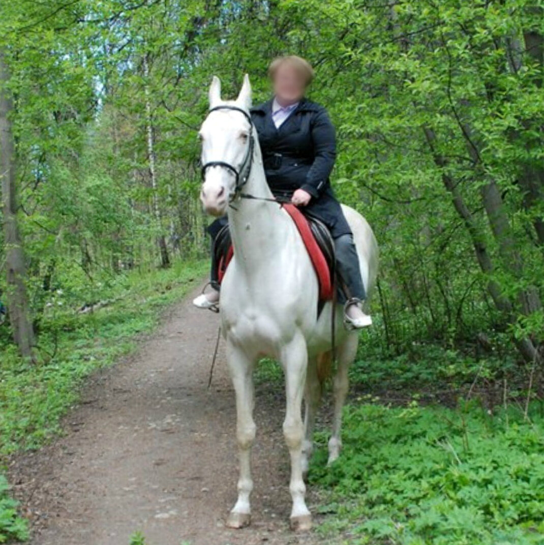А вот так лошадь выглядела на фото в соцсети. Шея явно получше)
