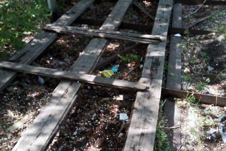 Фото: читатель 19rus.info 