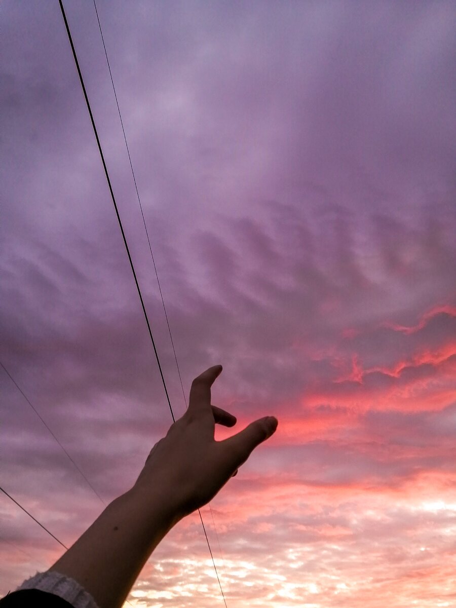 "Он понял, что человек нуждается в привязанности, что жизнь, лишенная нежности и любви , не что иное, как неодушевленный визжащий и скрипучий механизм" 