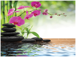 Если вы хотите обогатить свою жизнь посредством Фэн-шуй, вы должны научиться смотреть за кулисы мира явлений, чтобы сделать правильные выводы о течении и превращении Ци.