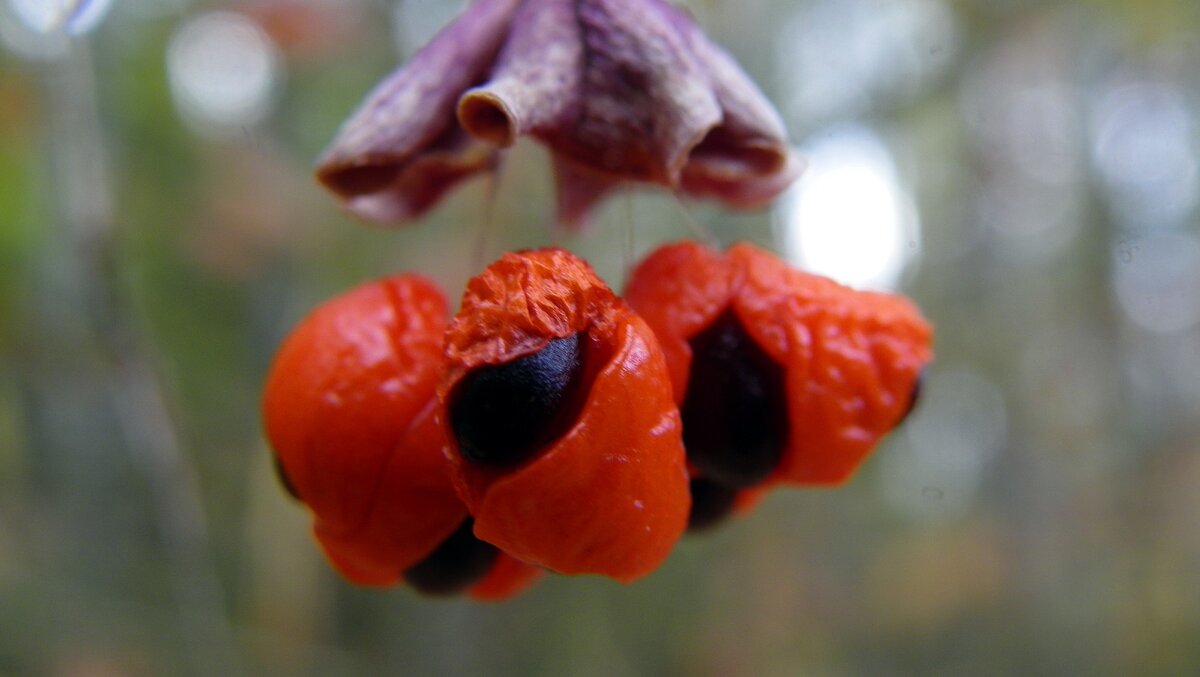 Поздняя осень