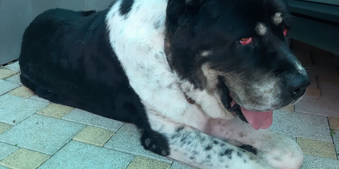 Медвеженок 💞