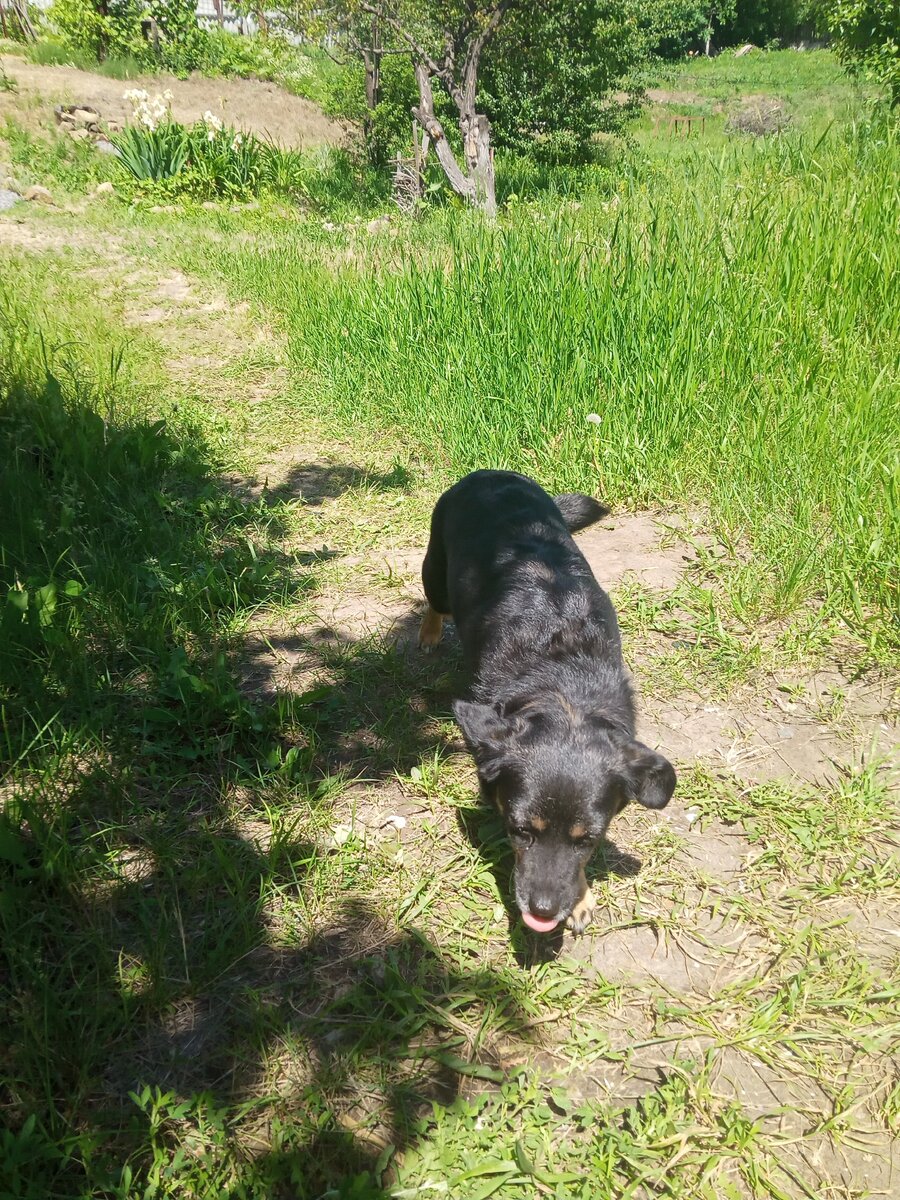 Плюша приехала на родину!