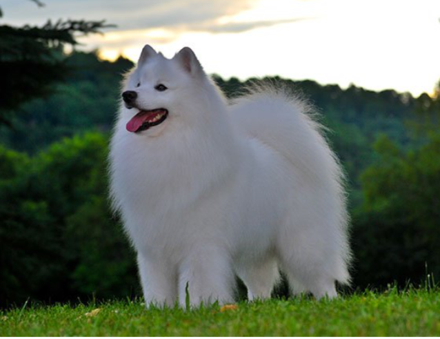 Такой эстетичный 